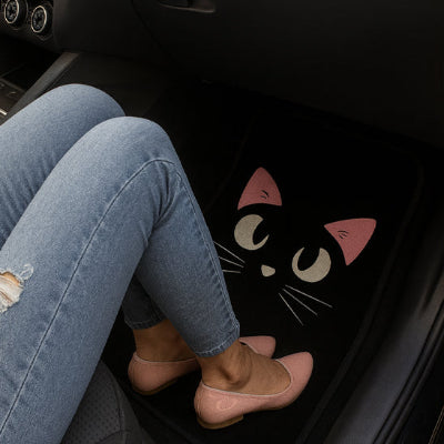 Tapis voiture nordiques antisalissure