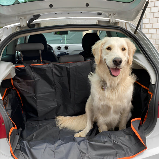 housse de protection voiture chien contre les griffes