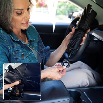 pare soleil voiture pliable Protection universelle et intimité préservée