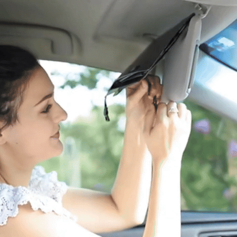 Pare soleil voiture animation confort automobile