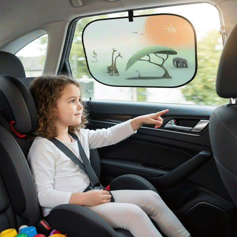 pare soleil voiture bebe animation confort automobile 