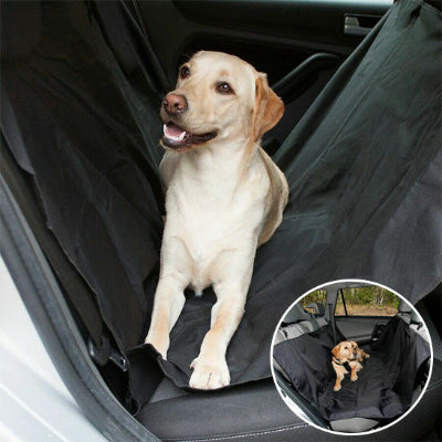 housse de protection siege arrire pour chien