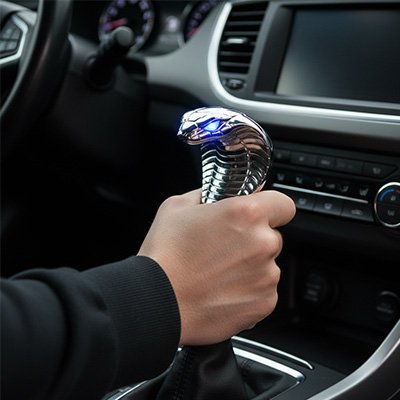 Pommeau de levier  de vitesse Cobra