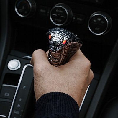 Pommeau de levier de vitesse Universal Chrome