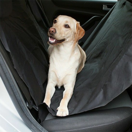 protection voiture chien  Confort animal: surface antidérapante offrant stabilité et bien-être