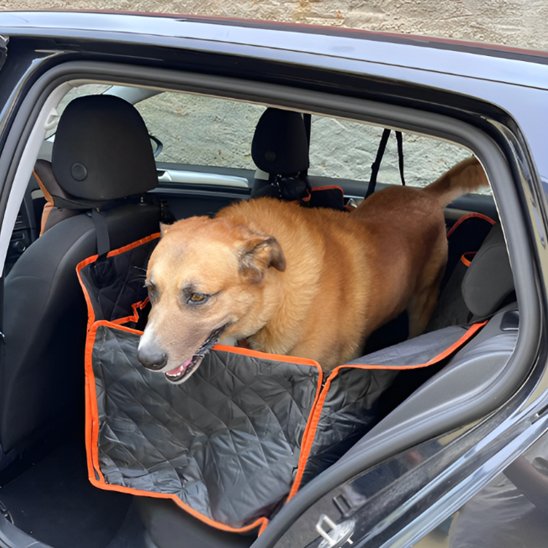 protection voiture chien Installation rapide sans outils: Système de fixation simple sur appuie-têtes 