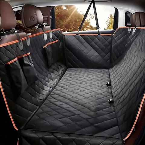 protection voiture chien animation confort automobile